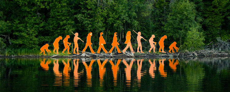 Evolution_of_man