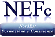 logo di nef consulenza